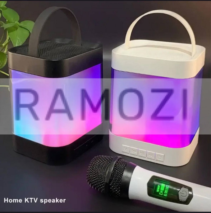 Колонка музыкальная 20 шт RA-9187